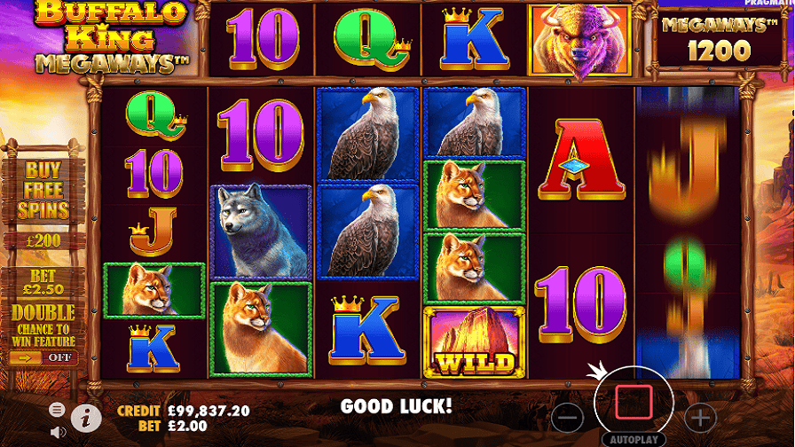 Fitur Spesial Cuan Buffalo King Megaways Online di OLE777