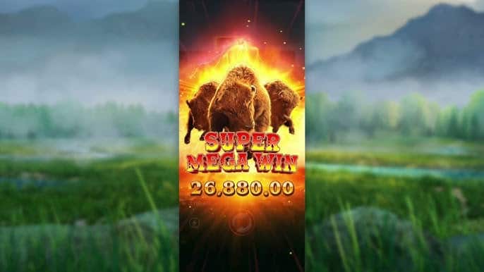 Kejar Kejutan di Padang Liar Amerika Utara Dalam Buffalo Win